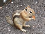 2007-0613-1343-48.jpg